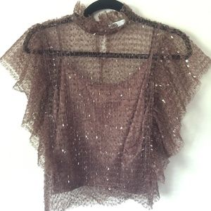 Zara cropped sheer blouse with paillettes
